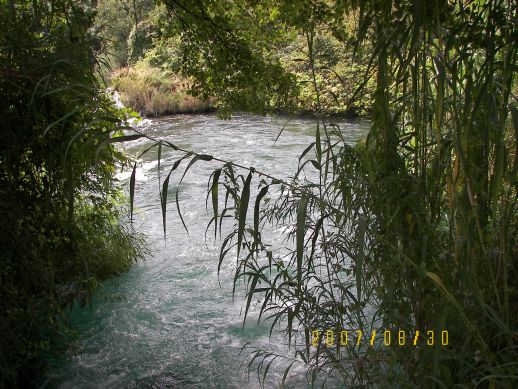 KRKA - suttogs a fk kztt...